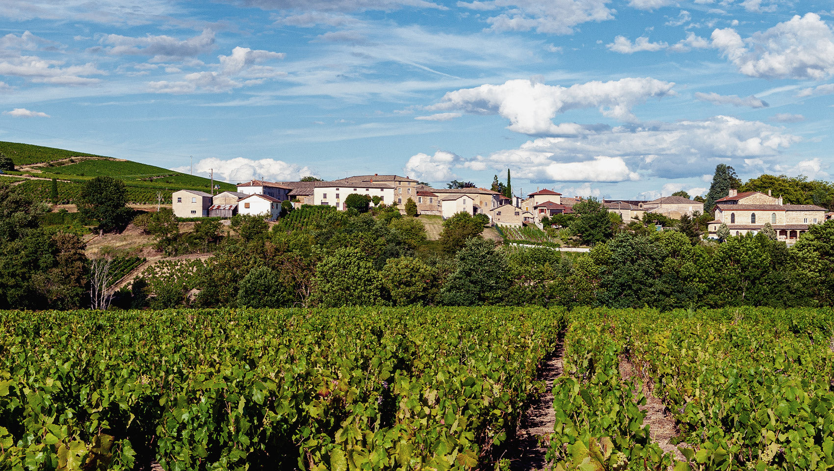 Beautiful Beaujolais!