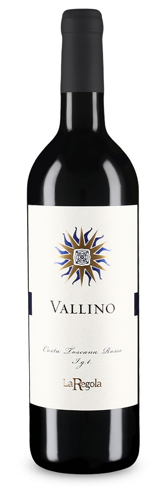 Vallino 2019