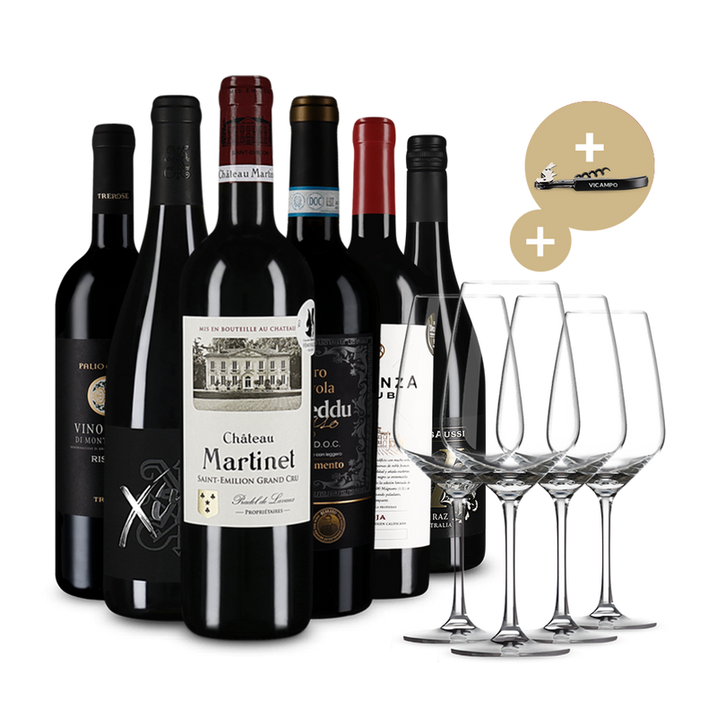 Wine in Black 50%-Saving-Set mit 4 Gläsern und Kellnermesser